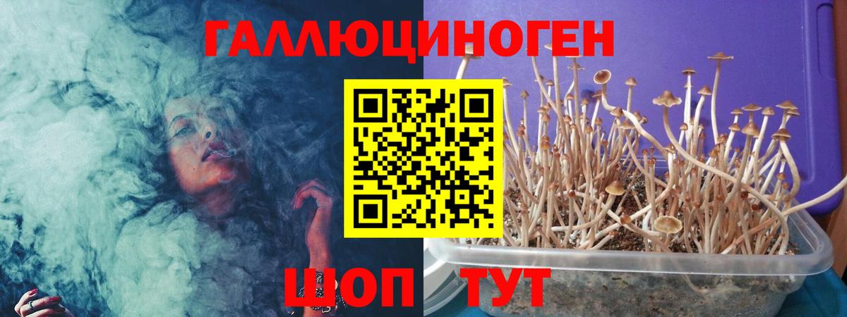 Галлюциногенные грибы GOLDEN TEACHER  Вход с VPN  где продают   Пугачёв 