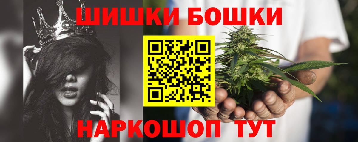 Пугачёв  Бошки марихуана план  Вход с VPN  Каннабис THC 21%  Конопля сатива 